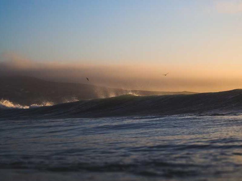 Columbia Sneakers, Size L