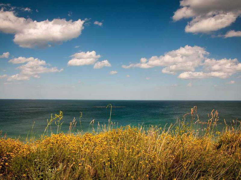 Adidas Winter Jacket, Size XL